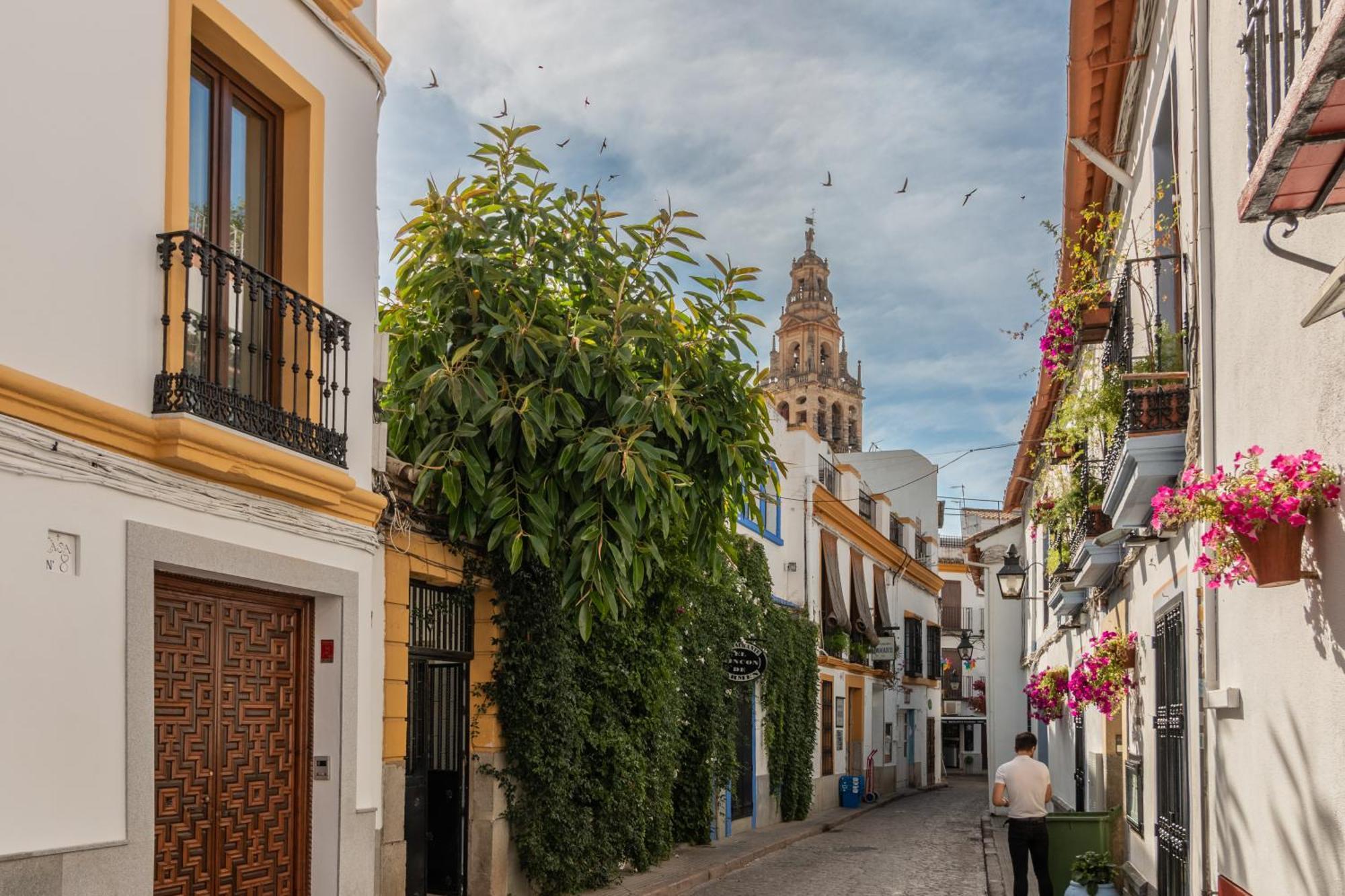 Luxury El Patio De La Juderia Lägenhet Córdoba Exteriör bild